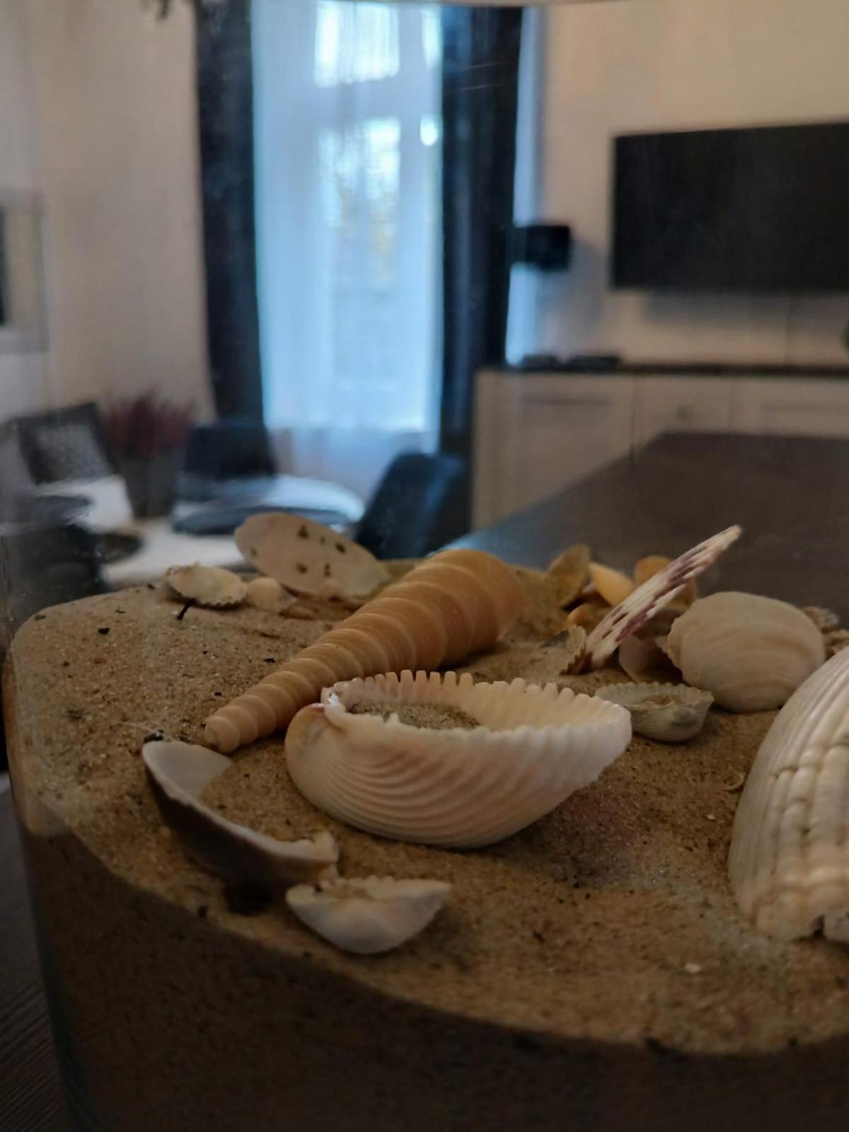 Apartment Beachfront *